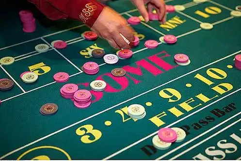 Responsible gaming message paired with cricket reading on ebajee for adults